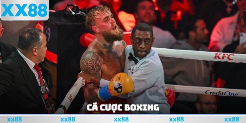 Cá Cược Boxing